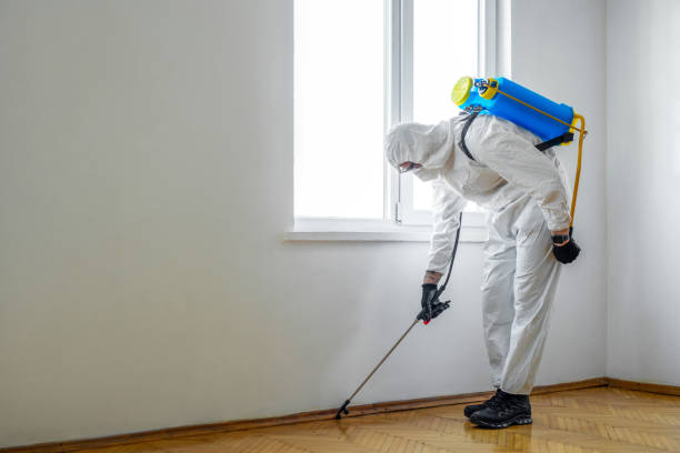 Emergency Pest Control Services in Gibsonton, FL